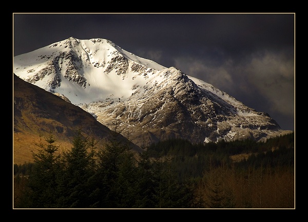 Ben Lui